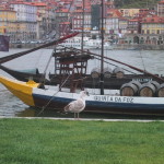 ポルトガルの舟と鳥