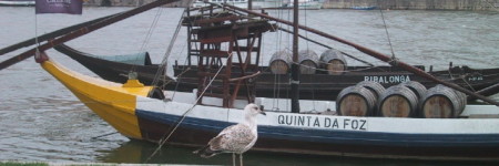 ポルトガルの舟と鳥